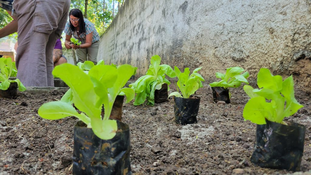 Grupo FAMBRAS se une a escola de São Paulo para plantio de mudas em celebração ao Dia Mundial da Terra