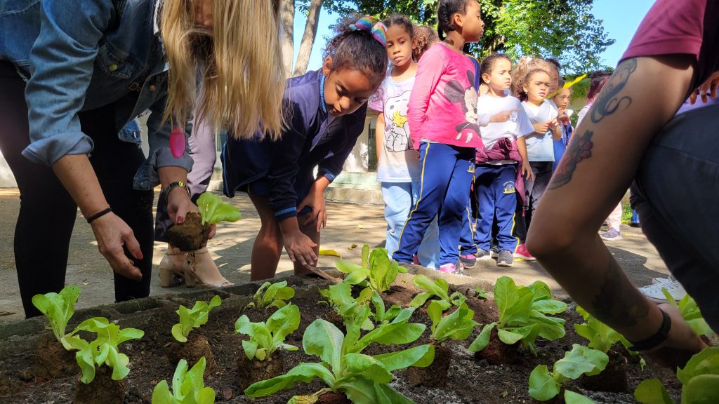 Grupo FAMBRAS se une a escola de São Paulo para plantio de mudas em celebração ao Dia Mundial da Terra